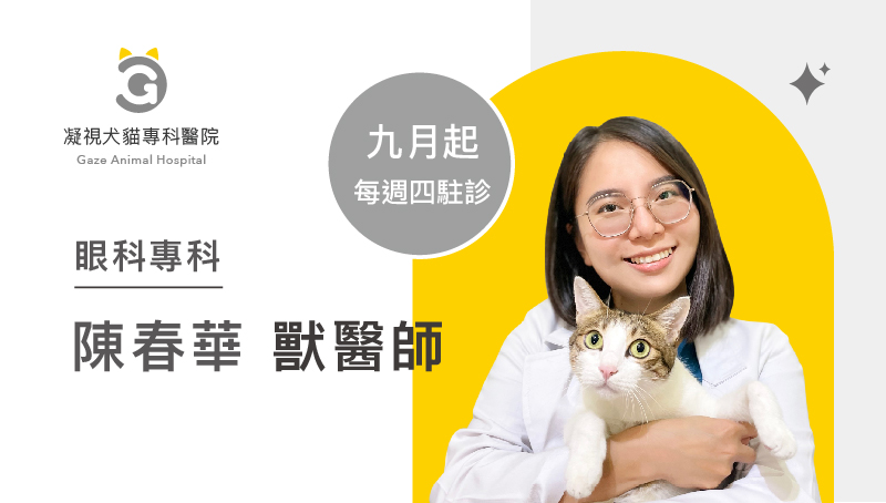 凝視犬貓專科醫院陳春華醫師