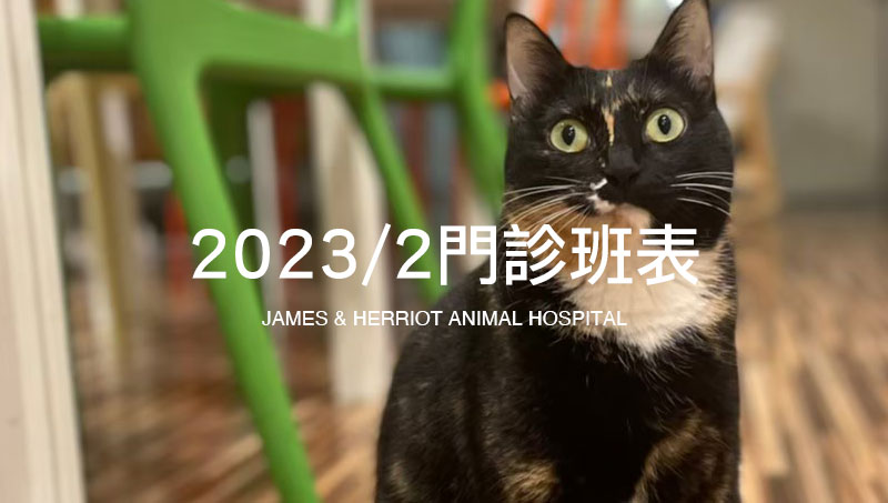 2023/2 吉米哈利動物醫院1月門診醫師班表