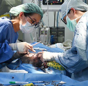 吉米哈利動物醫院內視鏡微創、外科手術
