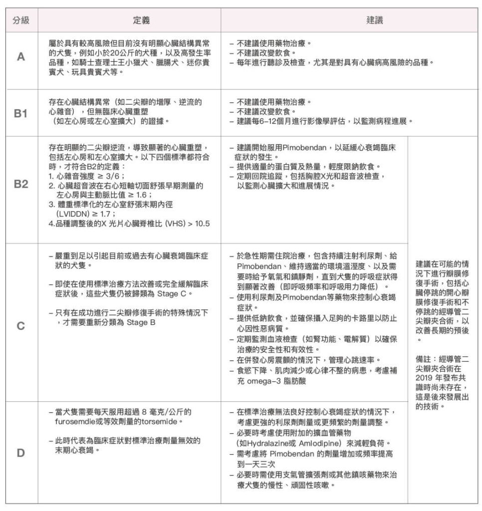 犬黏液性二尖瓣疾病 MMVD-楊崇君 獸醫師