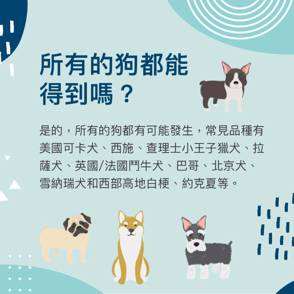 乾眼症
