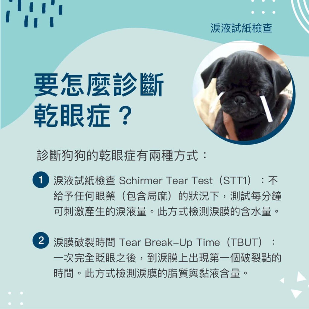 乾眼症
