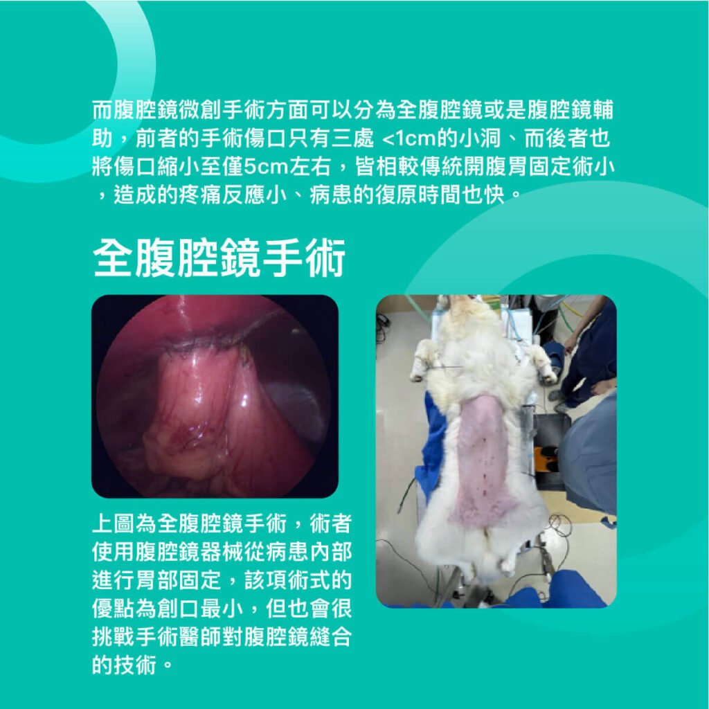 狗全腹腔鏡胃固定術