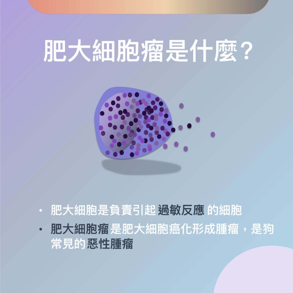 犬肥大細胞瘤與皮瓣手術介紹