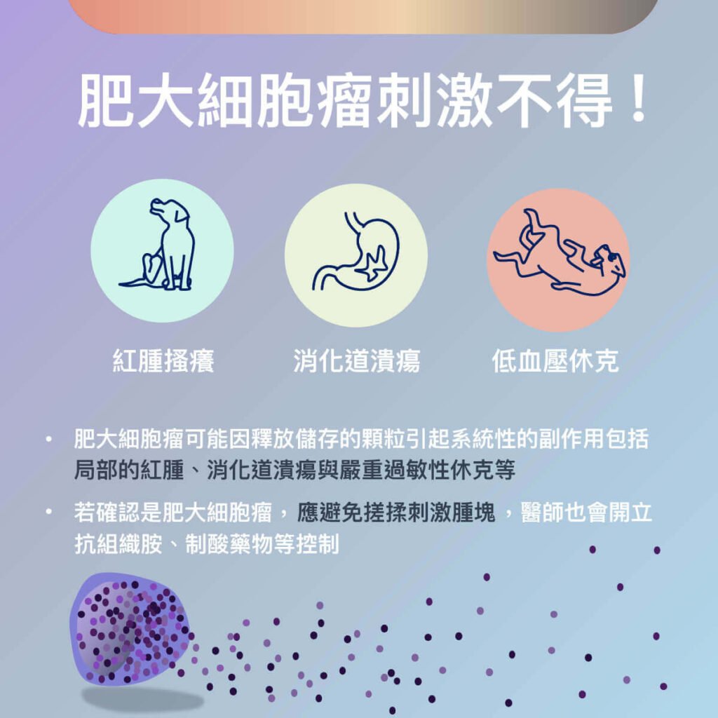 犬肥大細胞瘤與皮瓣手術介紹