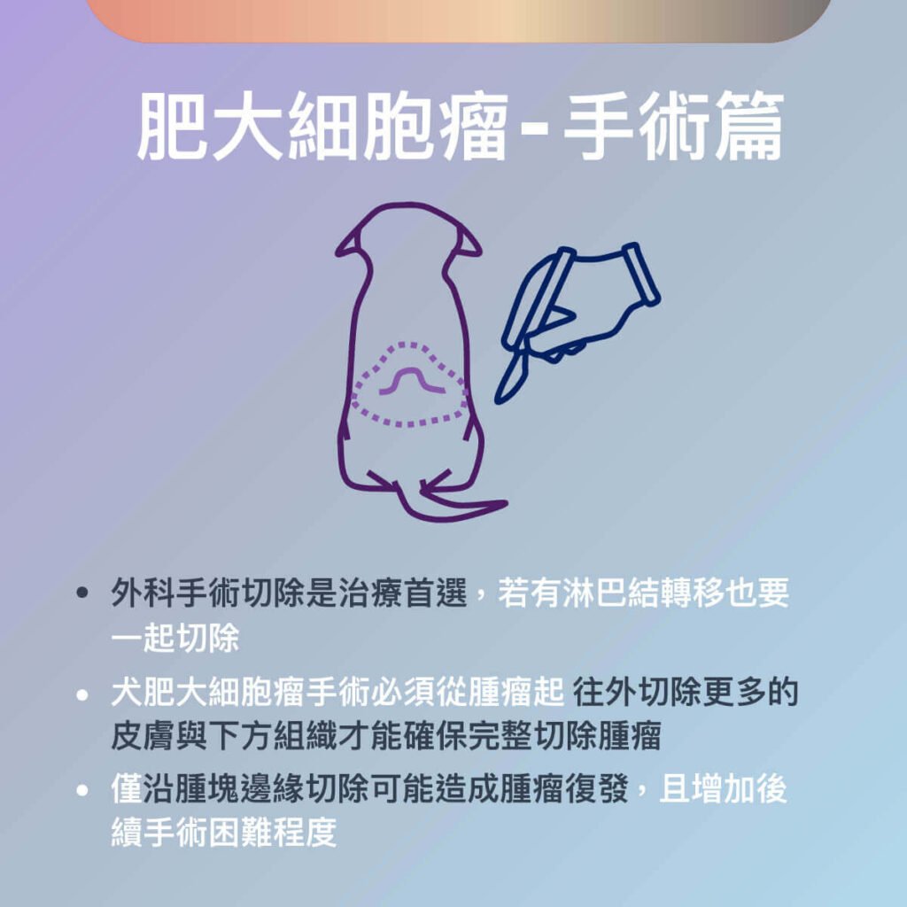 犬肥大細胞瘤與皮瓣手術介紹