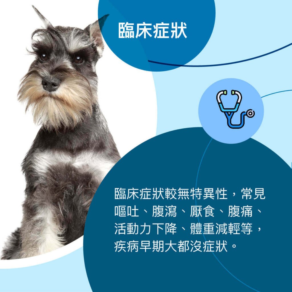 狗膽囊黏液囊腫-衛教與案例分享 外科部 施品丞/蔡佩倫 獸醫師