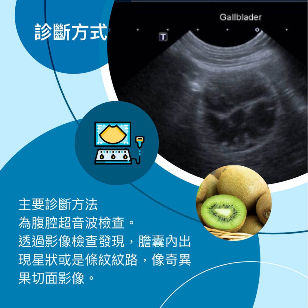 狗膽囊黏液囊腫-衛教與案例分享 外科部 施品丞/蔡佩倫 獸醫師