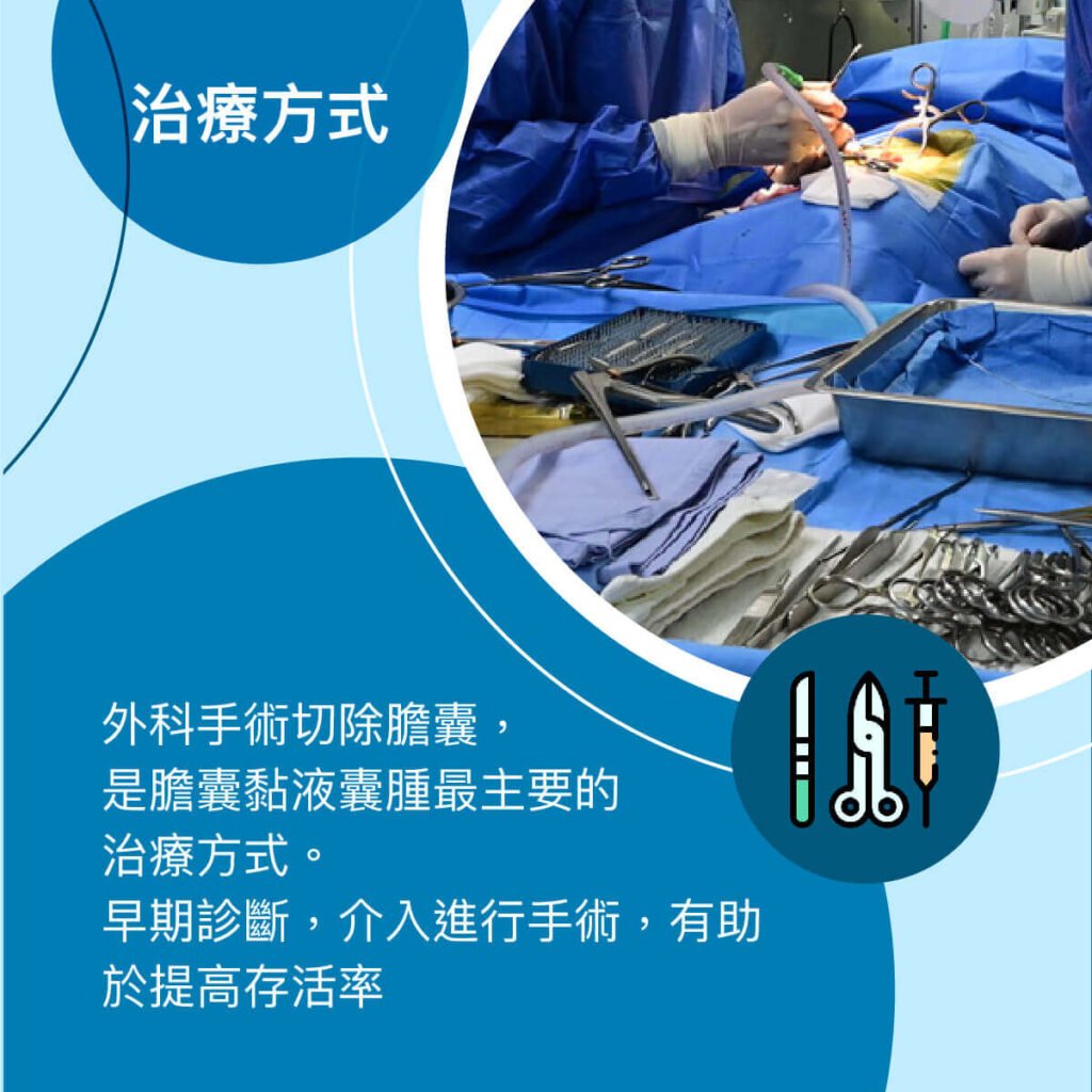 狗膽囊黏液囊腫-衛教與案例分享 外科部 施品丞/蔡佩倫 獸醫師