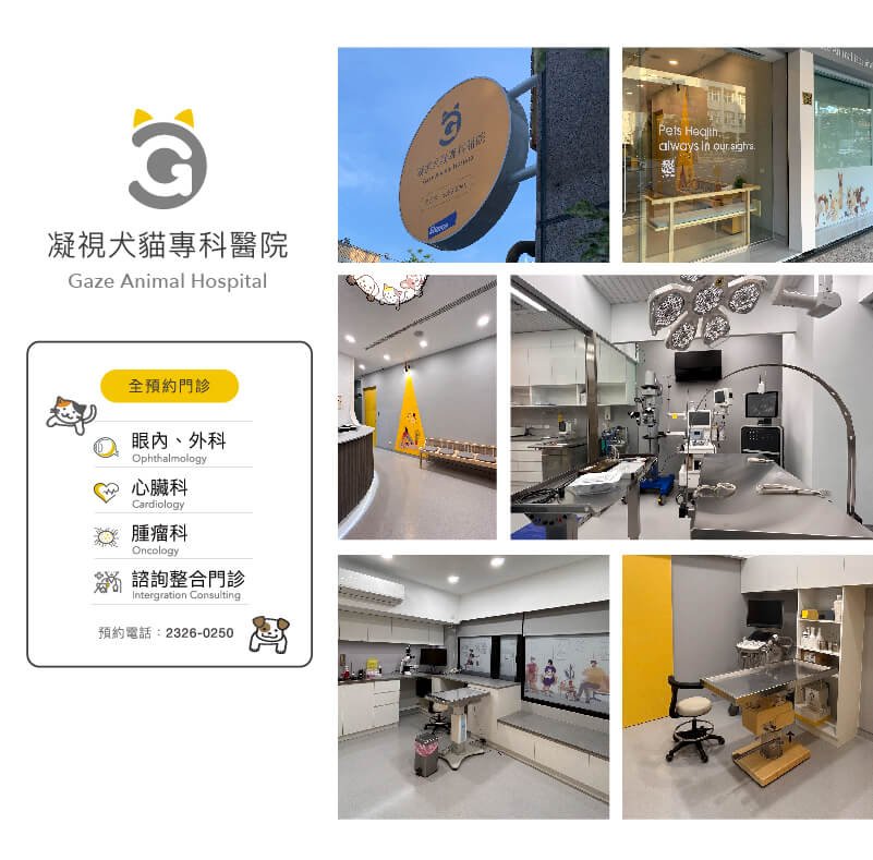 凝視犬貓專科醫院試營運