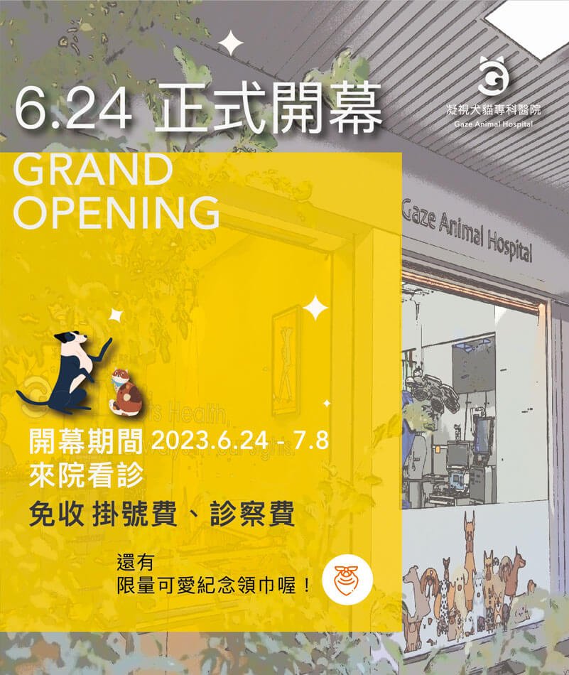 凝視犬貓專科醫院正式開幕 Grand Opening