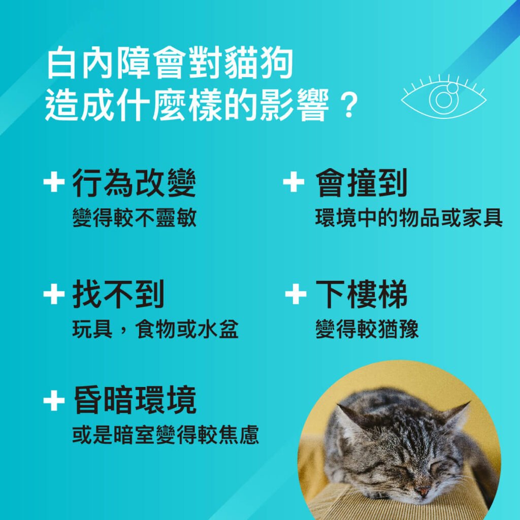 王郁盈醫師-白內障眼科特別門診