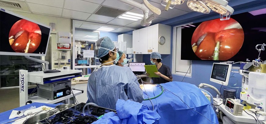 寵物外科手術、內視鏡微創手術 Surgery