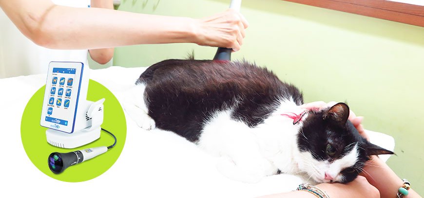 雷射治療 Laser Therapy