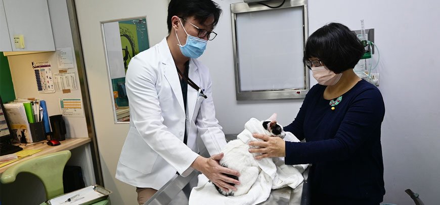 寵物腫瘤科 Oncology