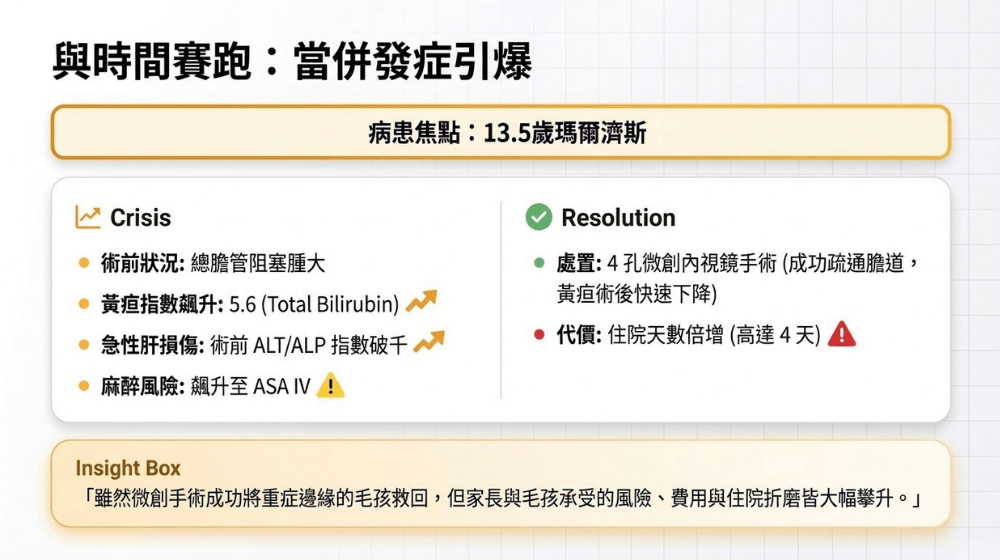 內科手術案例_13.5歲瑪爾濟斯