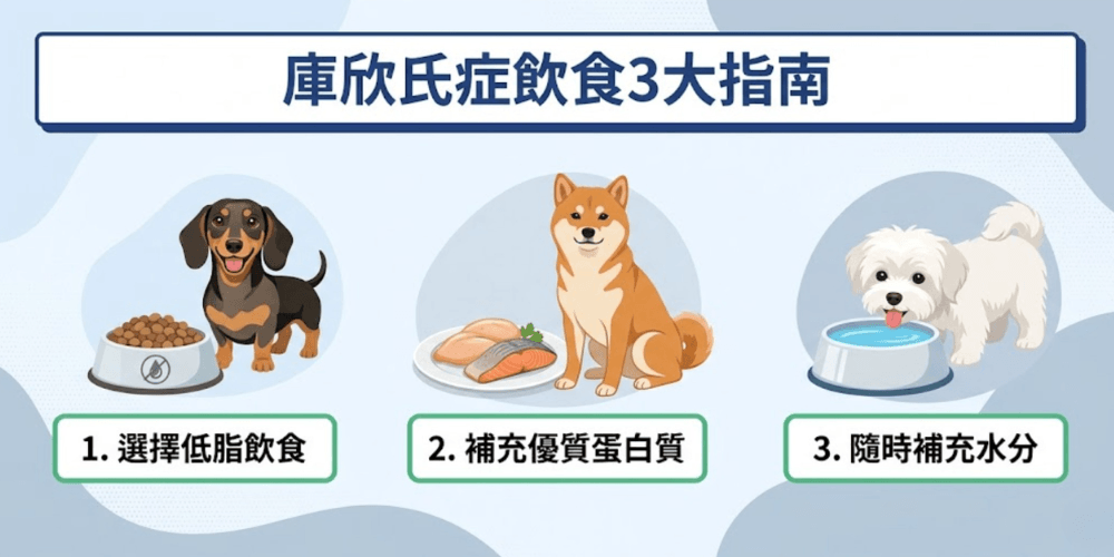 狗庫欣氏症飲食建議