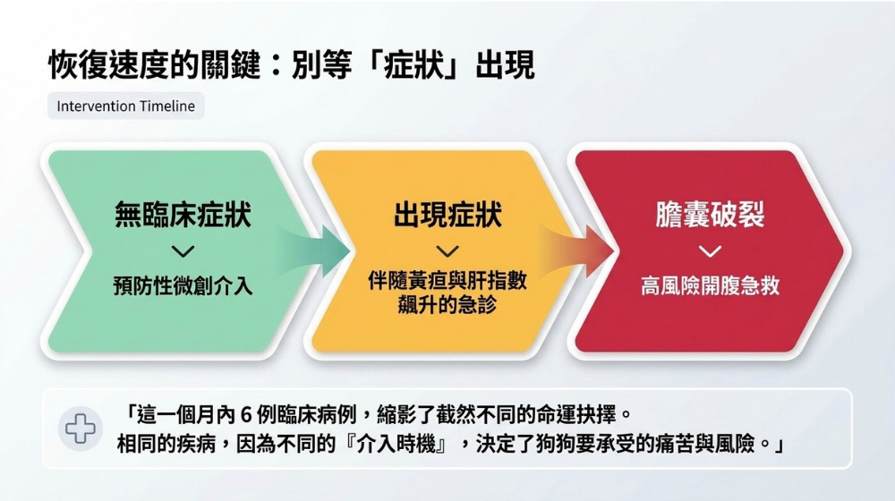 狗內科手術關鍵時機