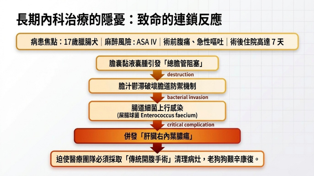 內科手術案例_17歲臘腸犬