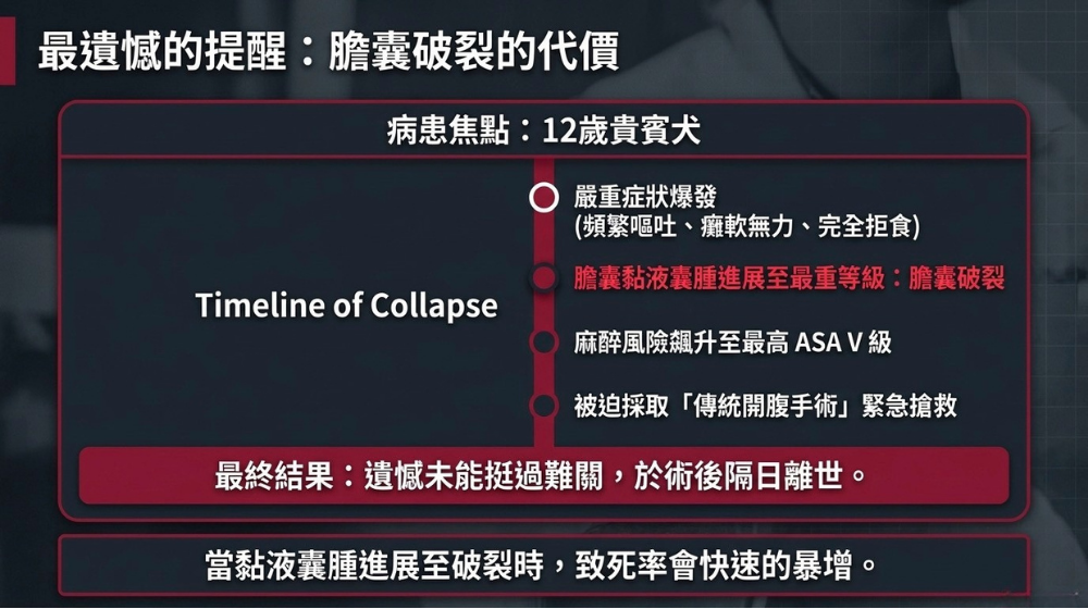 內科手術案例_12歲貴賓犬