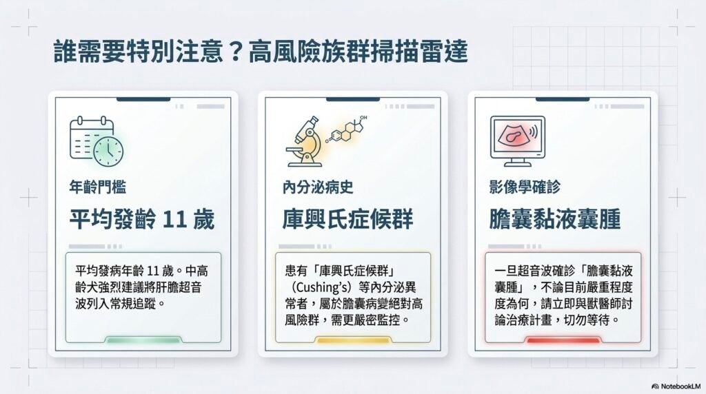 狗狗膽囊病變高風險族群