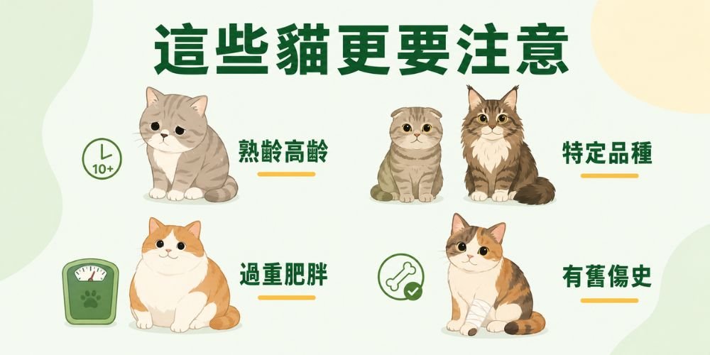 貓關節炎高危險群